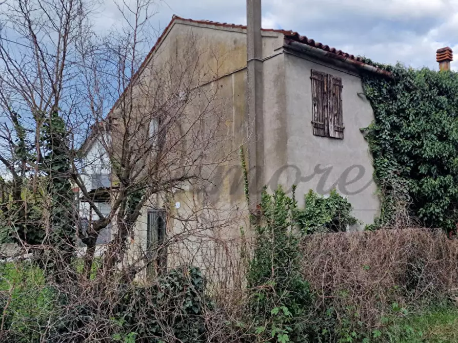 Immagine 2 di Rustico / casale in vendita  in VIA LUIGI MARIUTTO 54 a Mirano