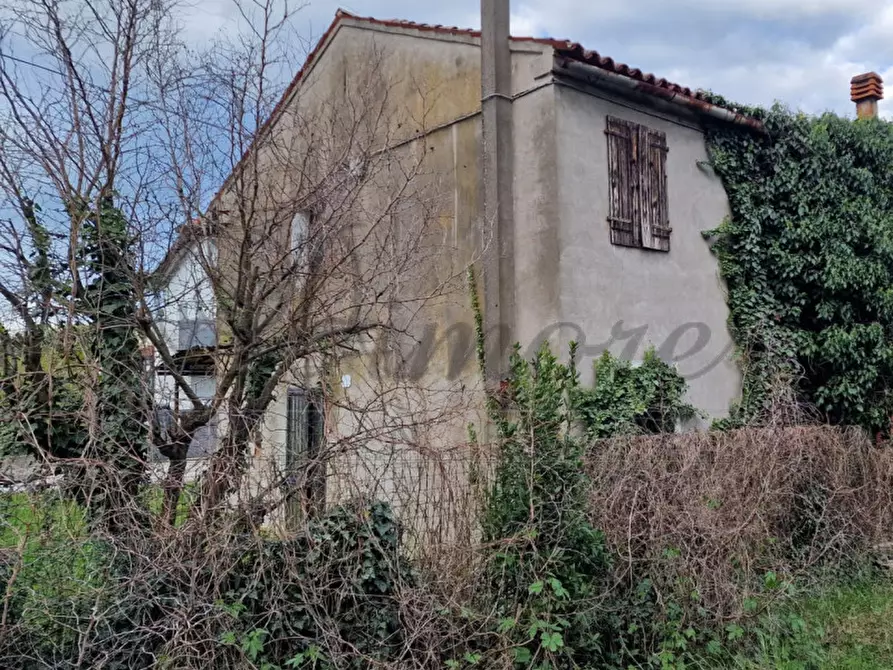 Immagine 3 di Rustico / casale in vendita  in VIA LUIGI MARIUTTO 54 a Mirano