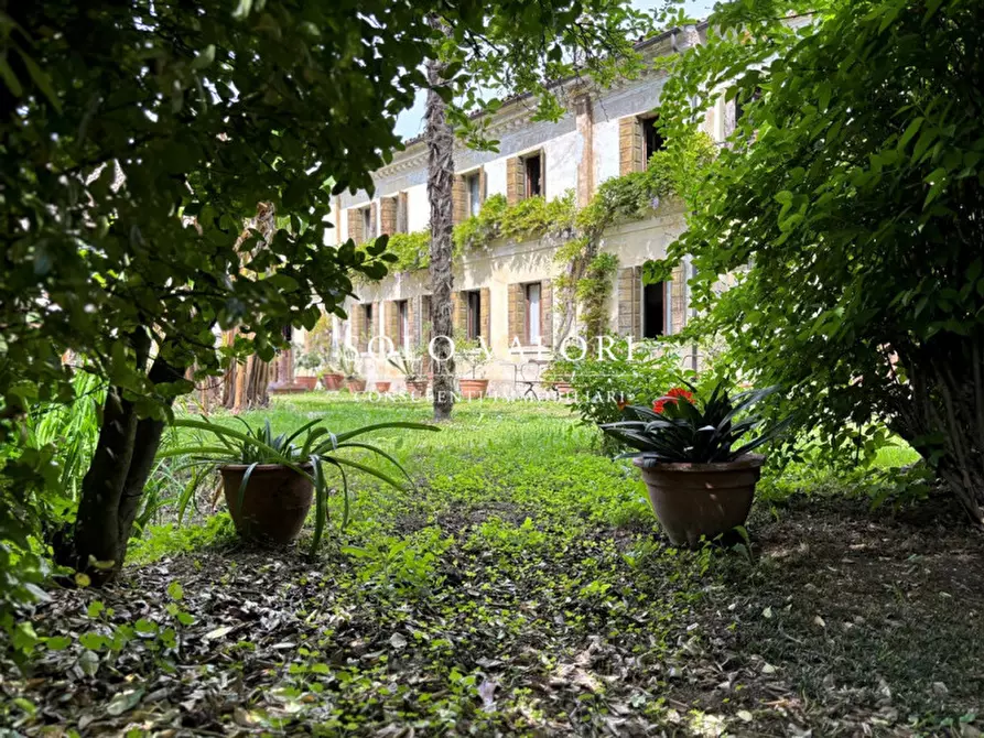Immagine 1 di Villa in vendita  a Castelfranco Veneto