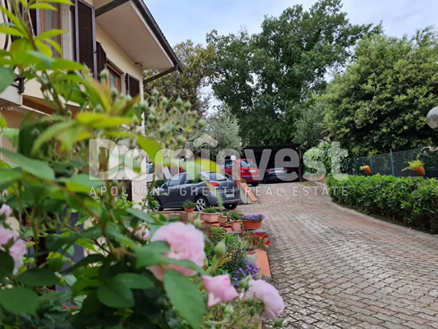 Immagine 3 di Villa in vendita  in Via G.Puccini a Capalbio