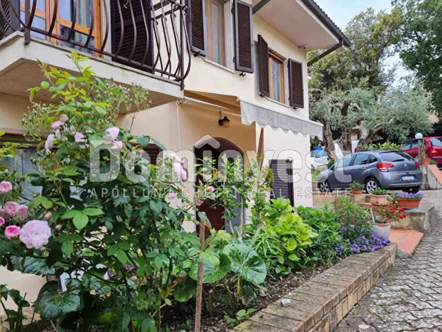 Immagine 7 di Villa in vendita  in Via G.Puccini a Capalbio