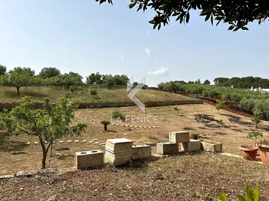 Immagine 28 di Villa in vendita  in SP66 a Martina Franca
