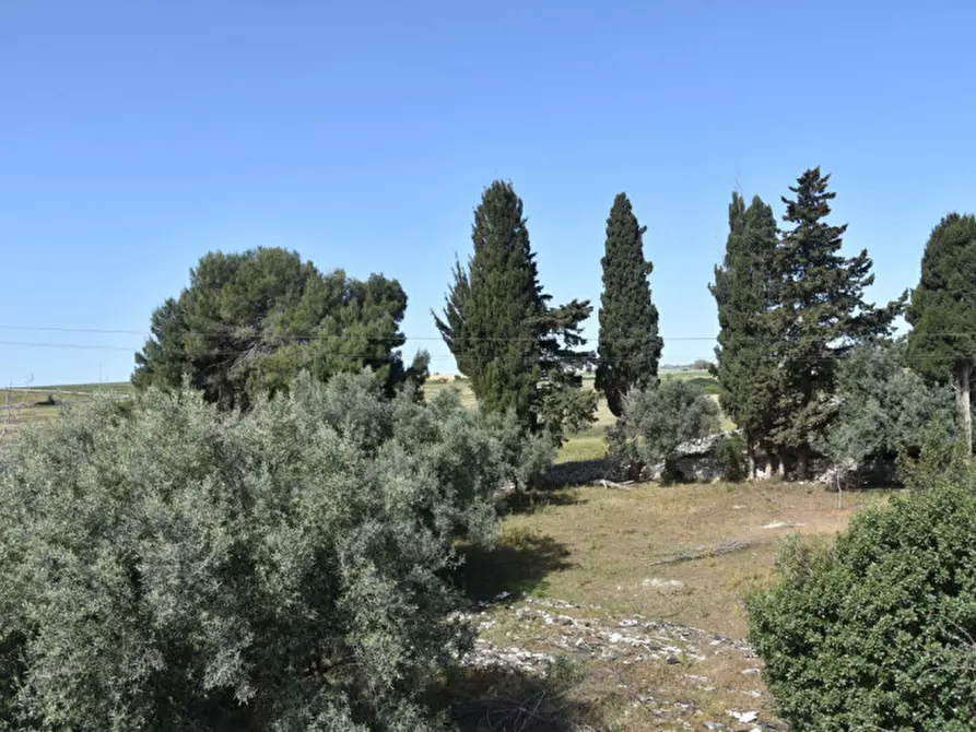 Immagine 20 di Casa indipendente in vendita  in Contrada Fondi San Filippo a Rosolini