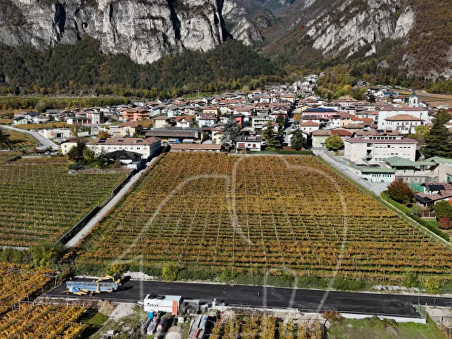 Immagine 3 di Terreno in vendita  a Roverè Della Luna