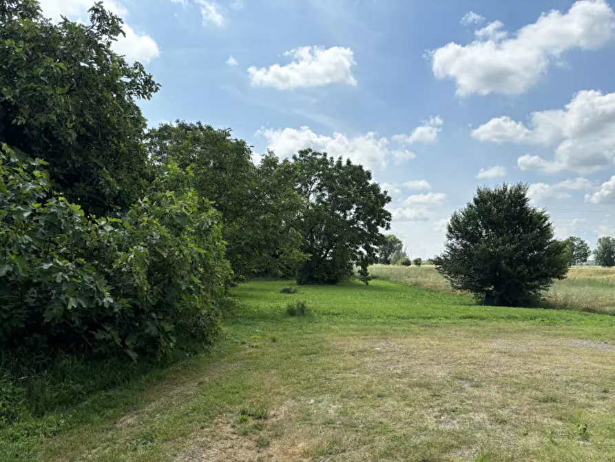 Immagine 8 di Villetta a schiera in vendita  in Fraz. Sanguigna, 77 a Colorno