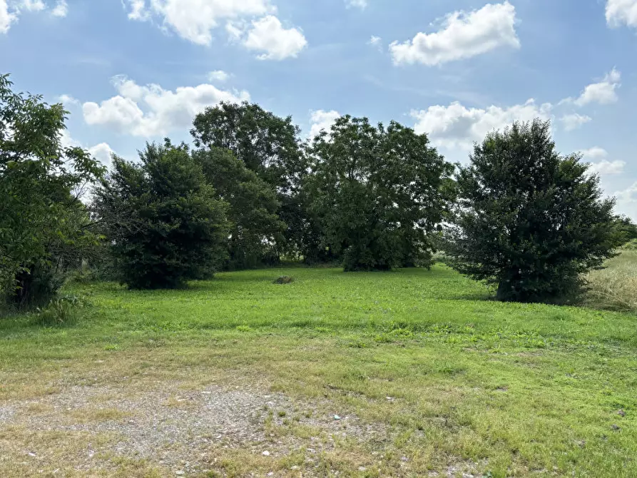 Immagine 9 di Villetta a schiera in vendita  in Fraz. Sanguigna, 77 a Colorno