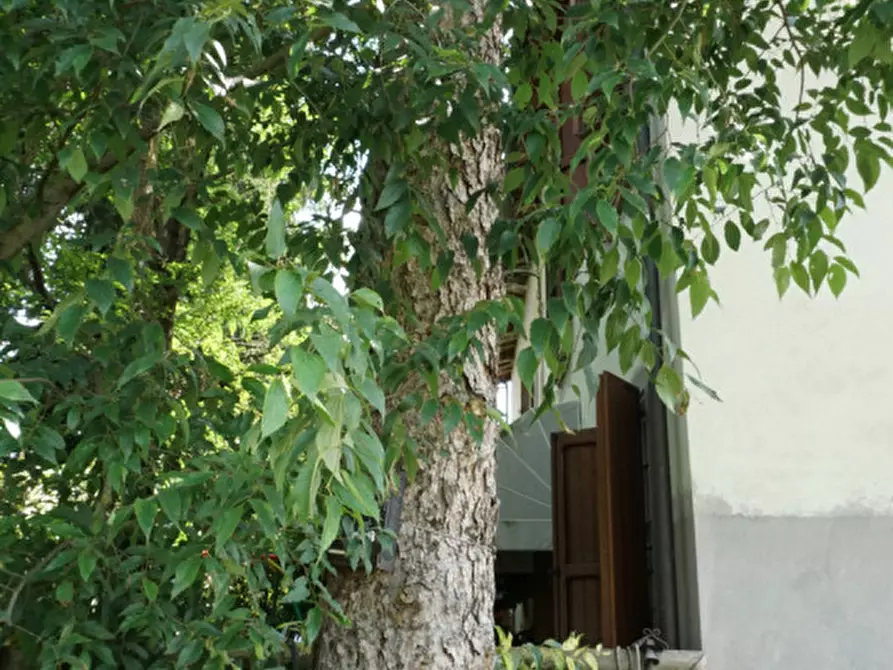 Immagine 47 di Villetta a schiera in vendita  in Fraz. Sanguigna, 77 a Colorno