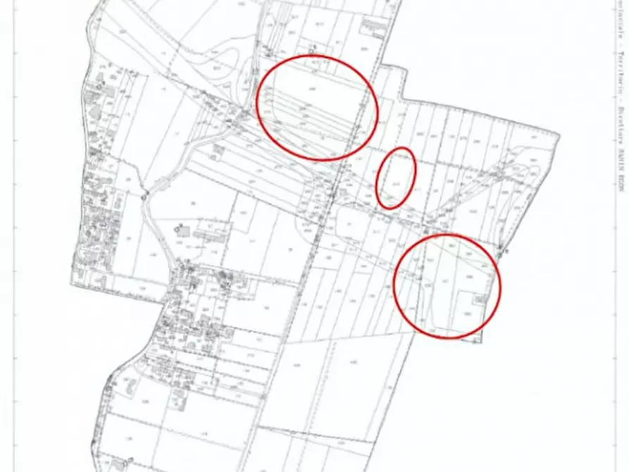 Immagine 3 di Terreno in vendita  in Via MARCHESA a Legnago