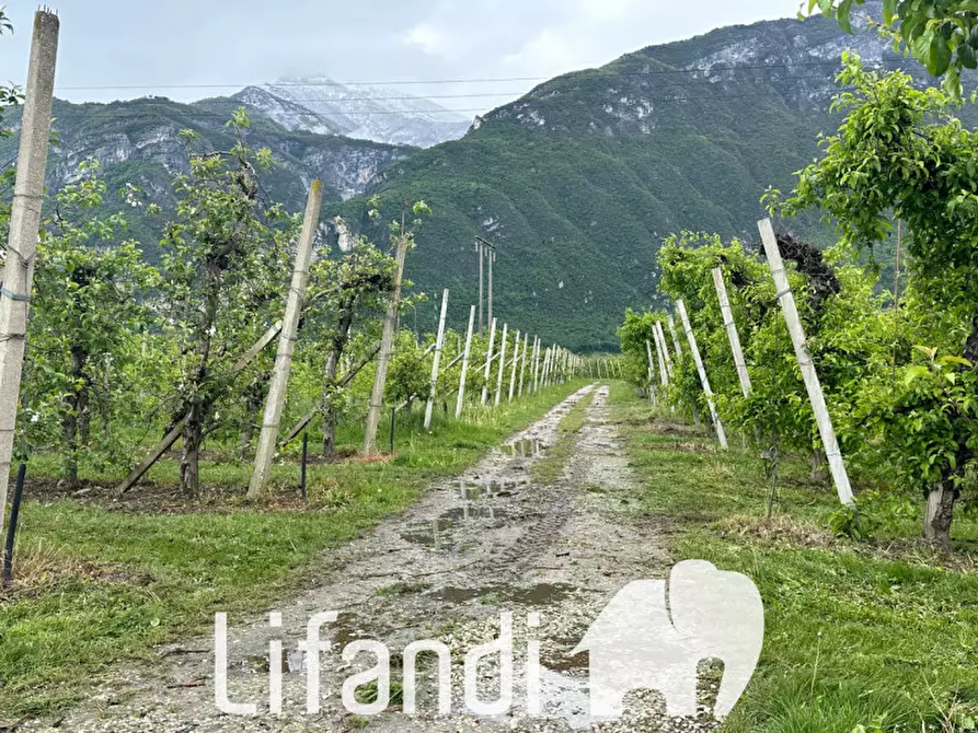 Immagine 2 di Terreno in vendita  a Trento