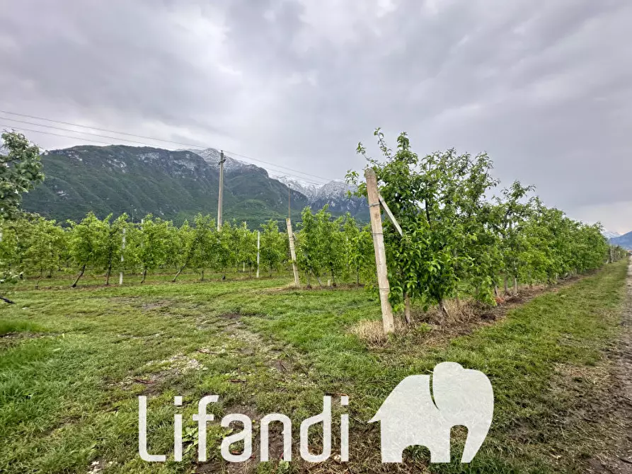 Immagine 4 di Terreno in vendita  a Trento