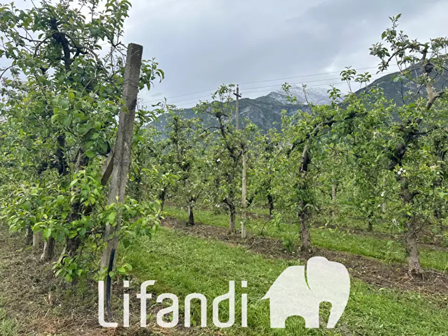 Immagine 5 di Terreno in vendita  a Trento