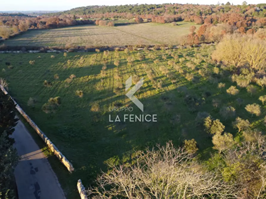 Immagine 2 di Rustico / casale in vendita  in contrada ulmo a Martina Franca