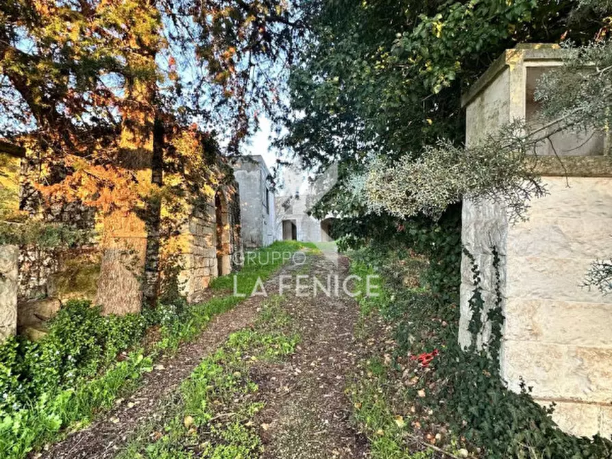 Immagine 11 di Rustico / casale in vendita  in contrada ulmo a Martina Franca