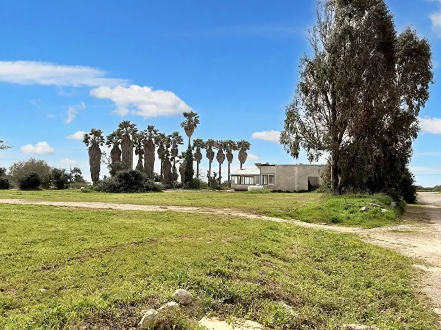 Immagine 1 di Terreno in vendita  in Strada Provinciale 217, N. SNC a Porto Cesareo