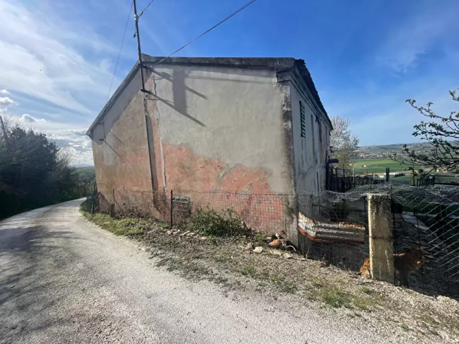 Immagine 7 di Rustico / casale in vendita  a Senigallia