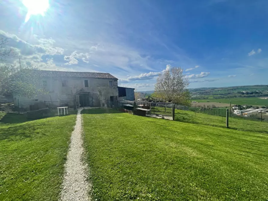 Immagine 8 di Rustico / casale in vendita  a Senigallia