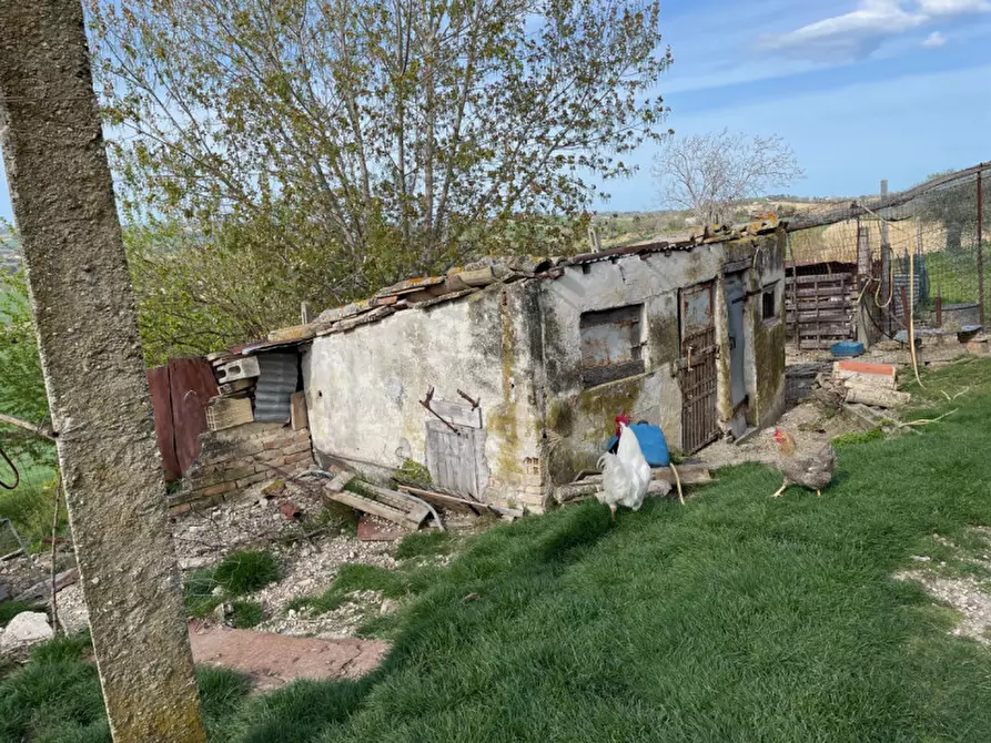 Immagine 9 di Rustico / casale in vendita  a Senigallia