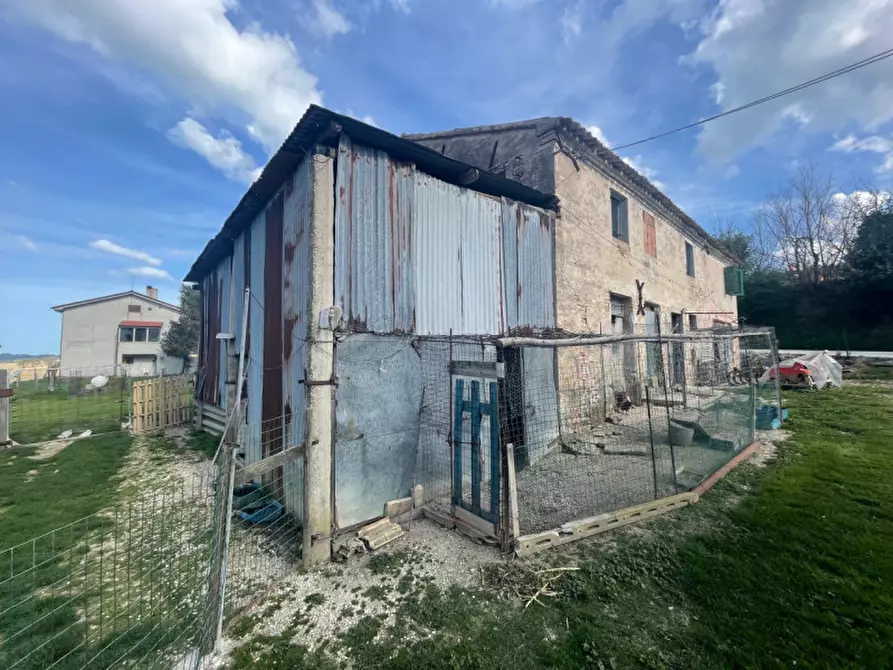 Immagine 19 di Rustico / casale in vendita  a Senigallia