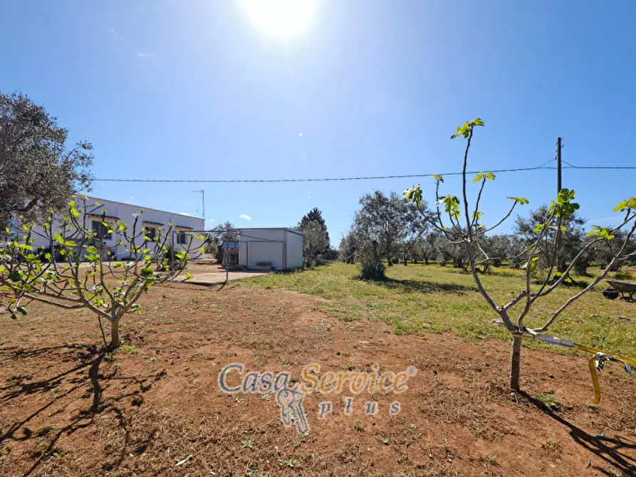 Immagine 3 di Villa in vendita  in Contrada Raho a Gallipoli