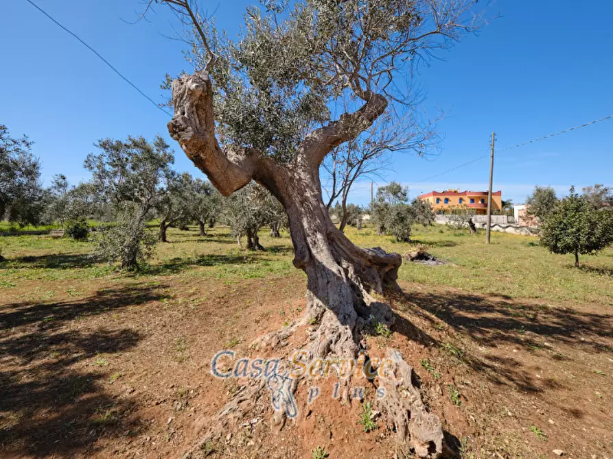 Immagine 4 di Villa in vendita  in Contrada Raho a Gallipoli