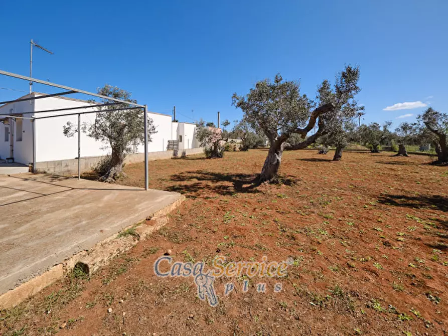 Immagine 10 di Villa in vendita  in Contrada Raho a Gallipoli