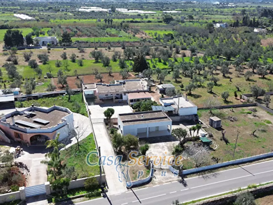 Immagine 51 di Villa in vendita  in Contrada Raho a Gallipoli