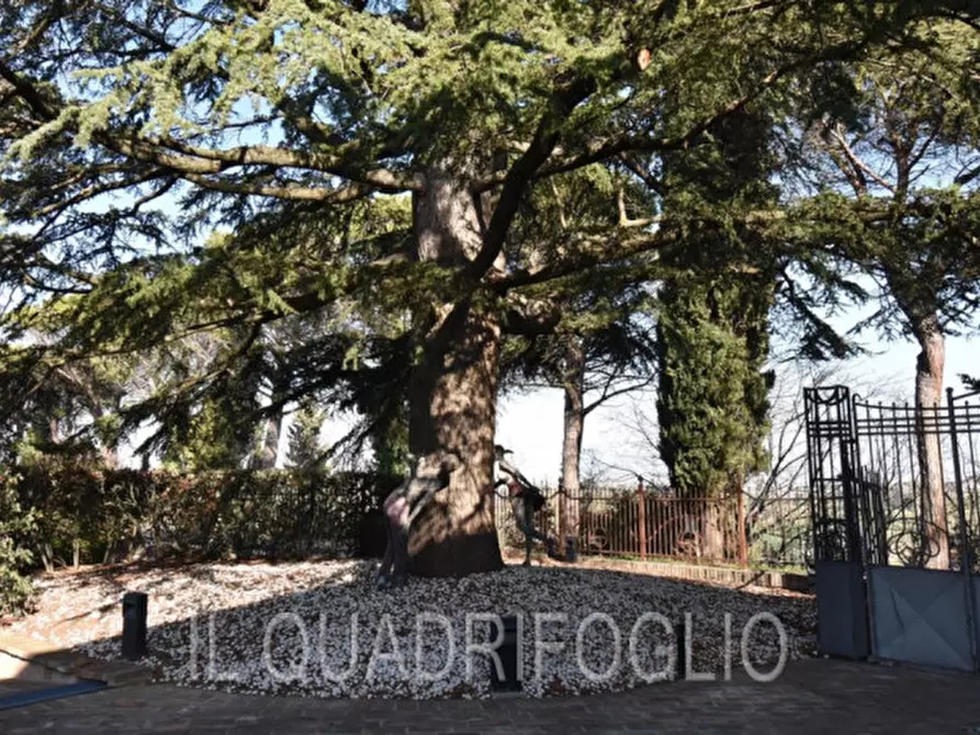 Immagine 7 di Villa in vendita  a Longiano