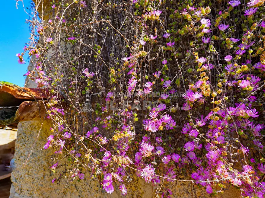 Immagine 25 di Villa in vendita  in Regione Gambino a La Maddalena
