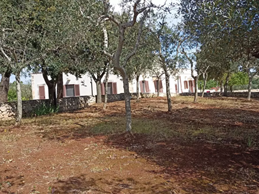 Immagine 58 di Rustico / casale in vendita  in GUYCA a Cisternino