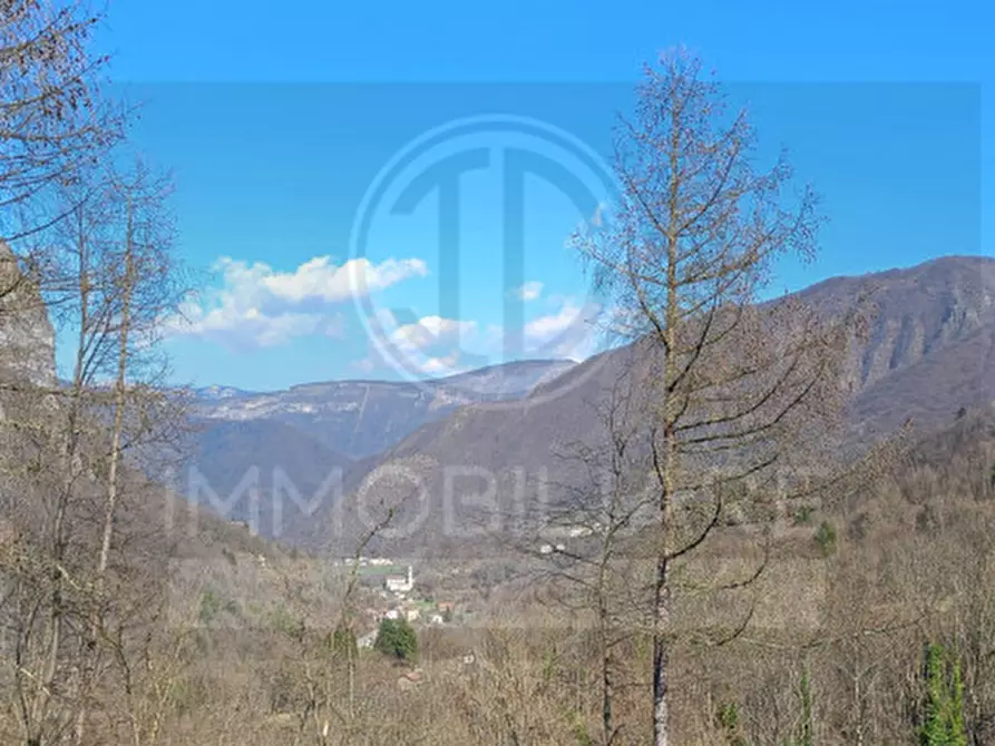 Immagine 1 di Villetta a schiera in vendita  a Posina