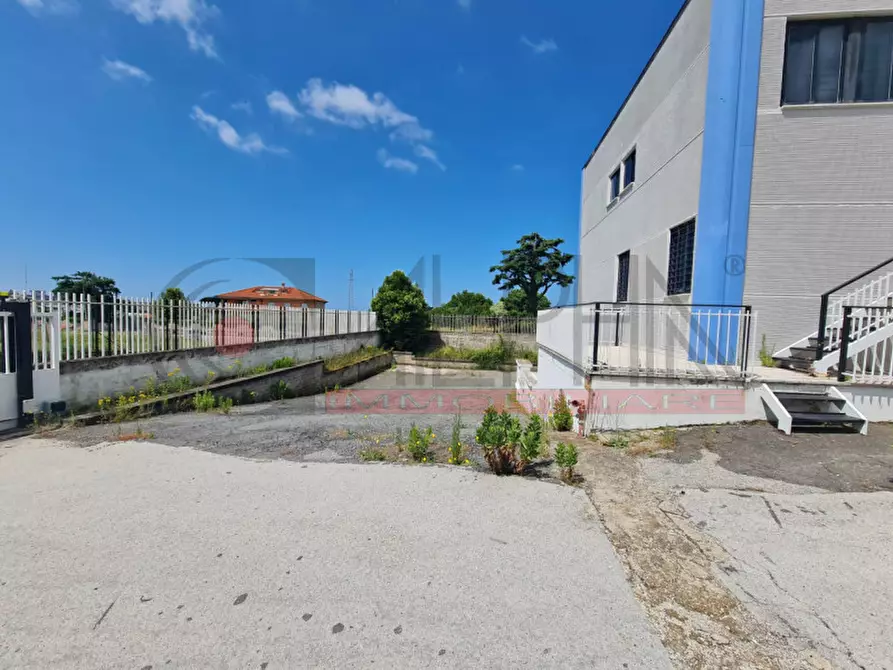 Immagine 3 di Capannone industriale in affitto  in VIA DELLE ARANCE a Pomezia