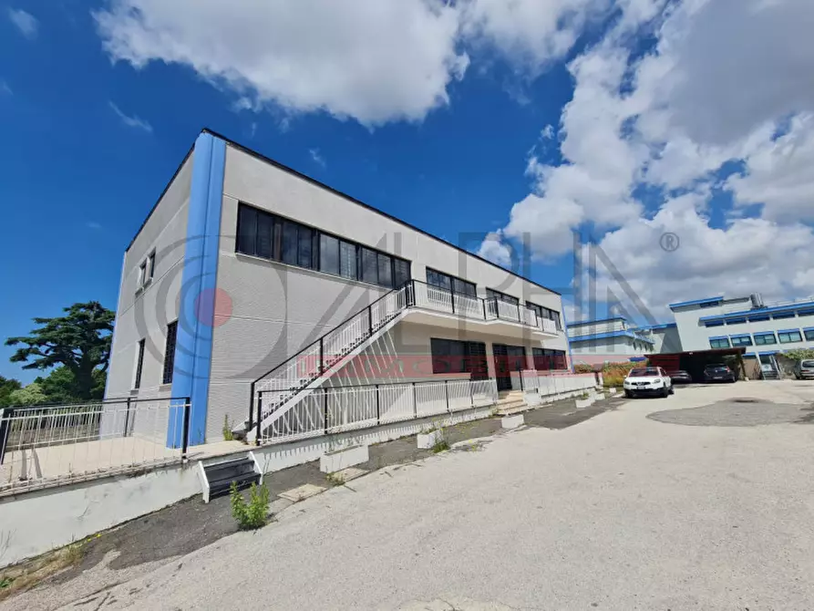 Immagine 4 di Capannone industriale in affitto  in VIA DELLE ARANCE a Pomezia