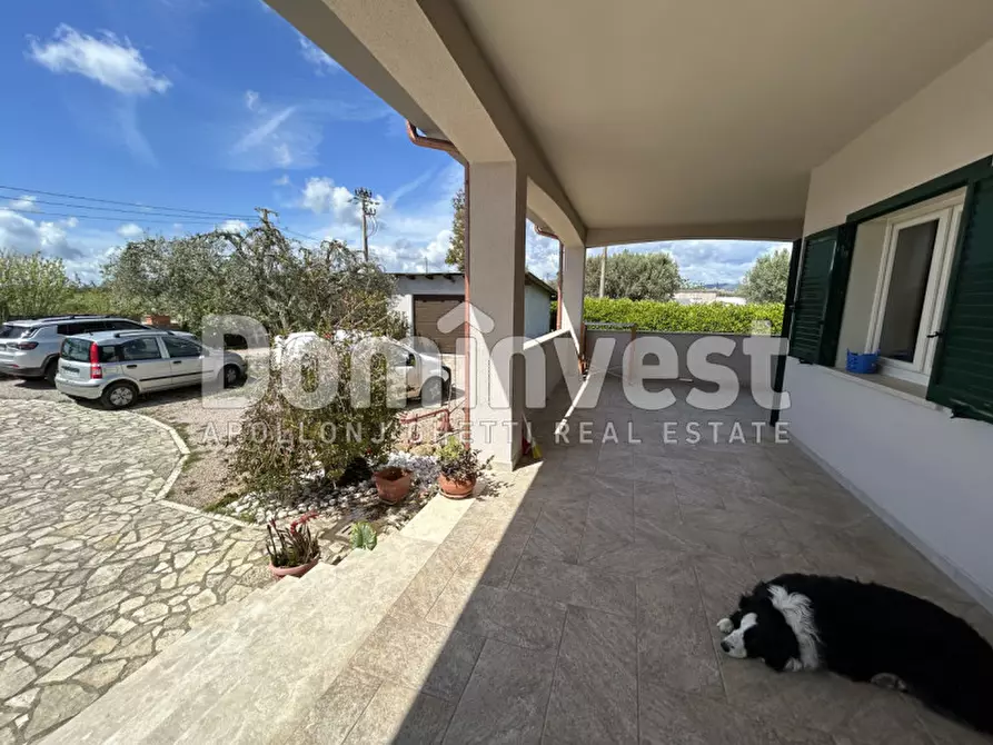 Immagine 25 di Villa in vendita  in Strada Pescia Fiorentina a Capalbio