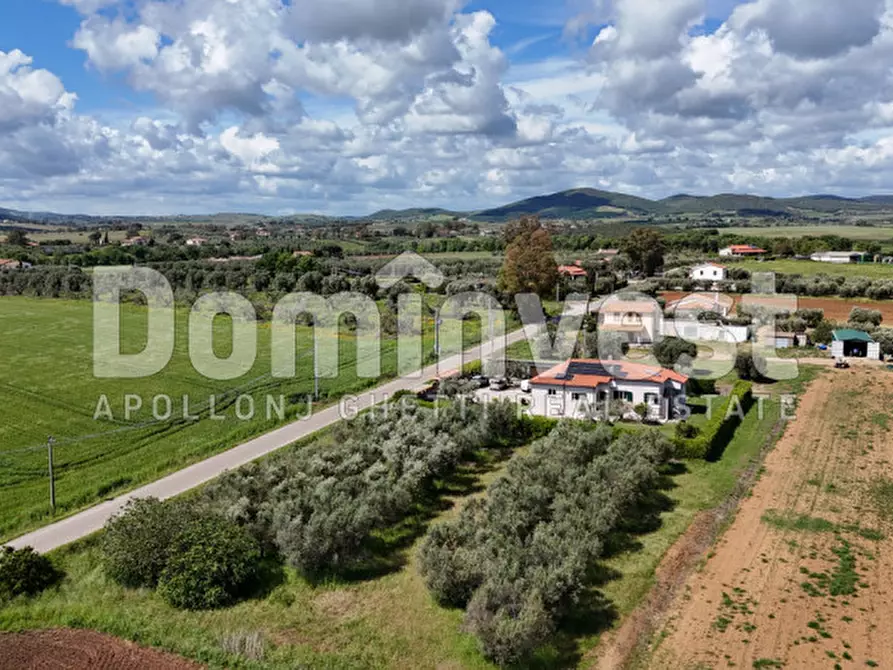 Immagine 32 di Villa in vendita  in Strada Pescia Fiorentina a Capalbio