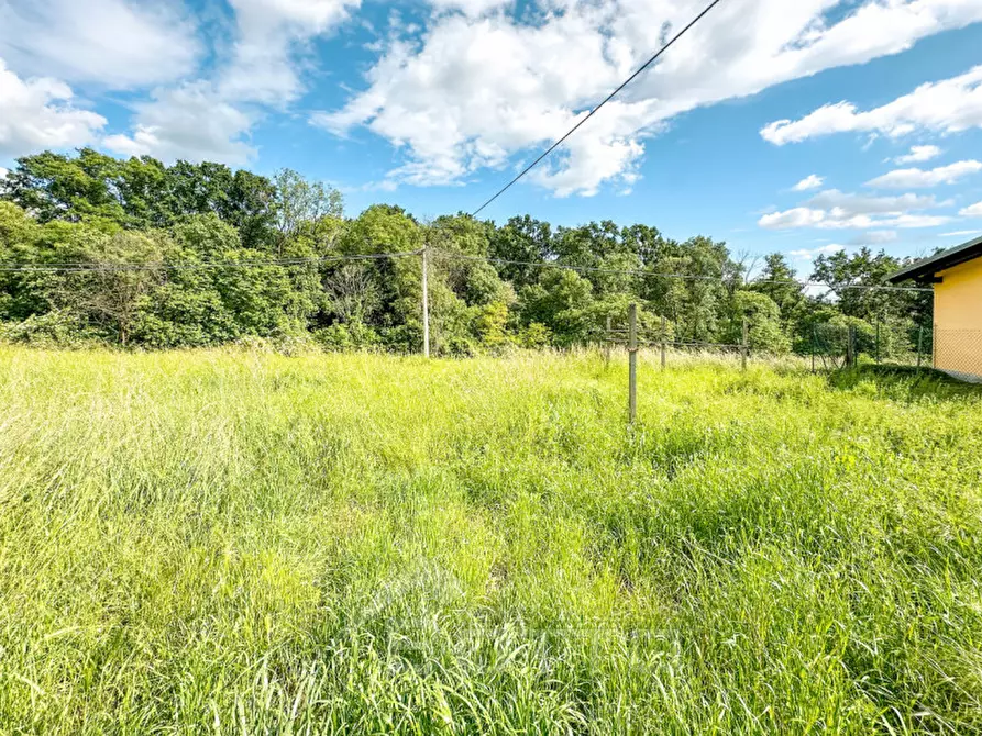 Immagine 16 di Casa indipendente in vendita  in Via Pietro Micca 39 a Roasio
