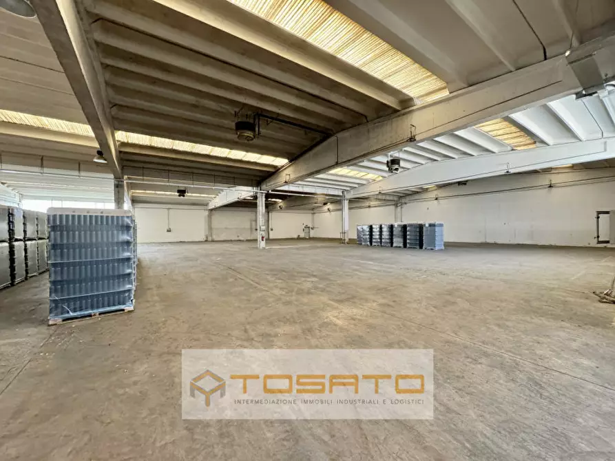 Immagine 5 di Capannone industriale in affitto  a Oppeano