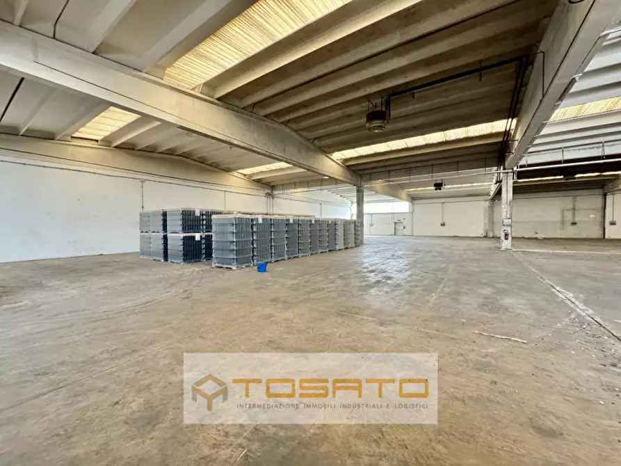 Immagine 7 di Capannone industriale in affitto  a Oppeano