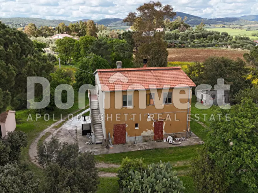 Immagine 2 di Rustico / casale in vendita  in PESCIA FIORENTINA a Capalbio