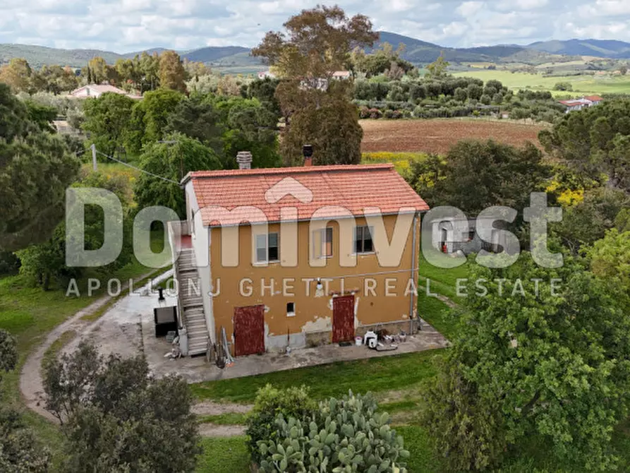 Immagine 3 di Rustico / casale in vendita  in PESCIA FIORENTINA a Capalbio