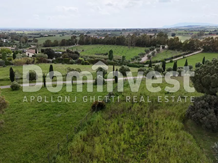 Immagine 6 di Rustico / casale in vendita  in PESCIA FIORENTINA a Capalbio