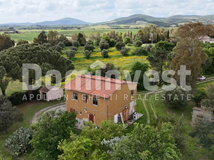 Immagine 7 di Rustico / casale in vendita  in PESCIA FIORENTINA a Capalbio