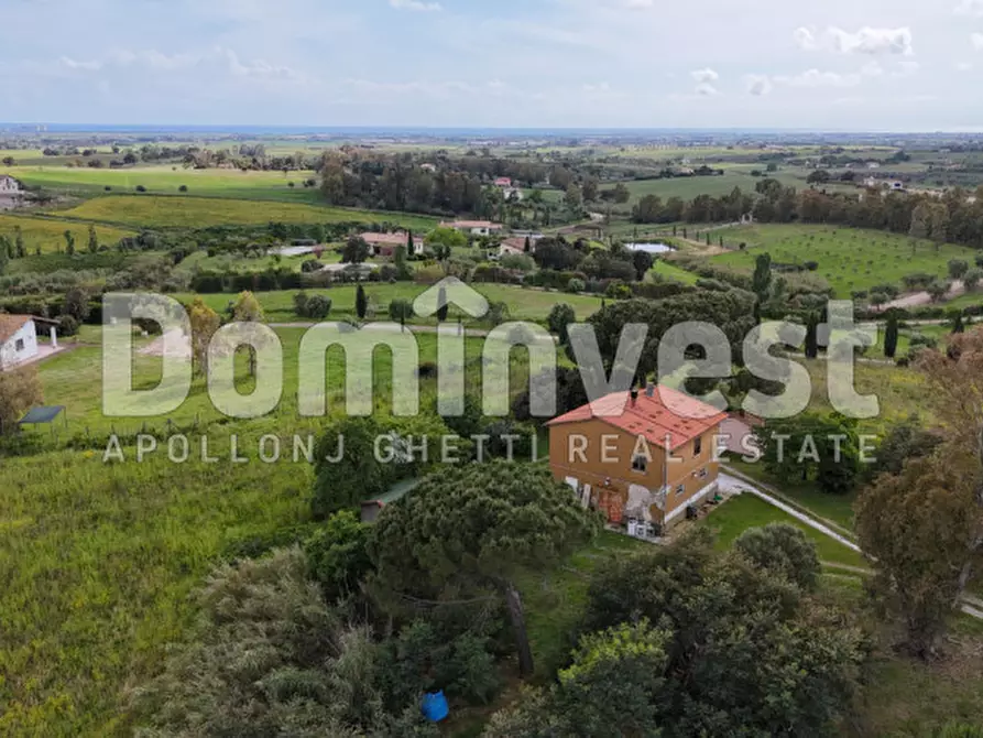 Immagine 10 di Rustico / casale in vendita  in PESCIA FIORENTINA a Capalbio