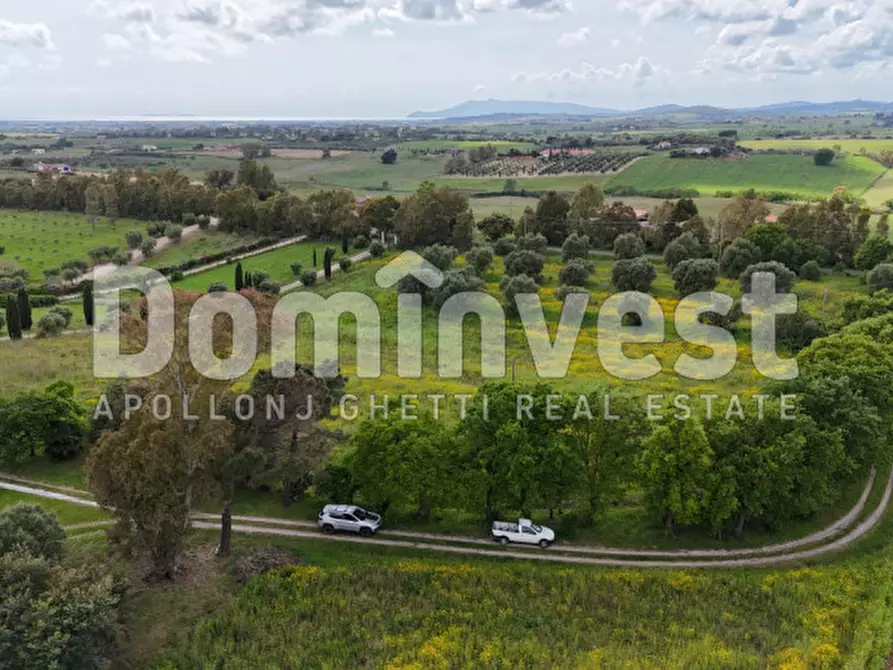 Immagine 11 di Rustico / casale in vendita  in PESCIA FIORENTINA a Capalbio