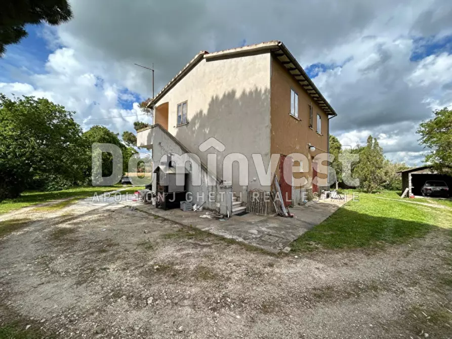 Immagine 13 di Rustico / casale in vendita  in PESCIA FIORENTINA a Capalbio
