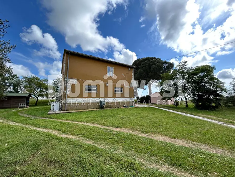 Immagine 14 di Rustico / casale in vendita  in PESCIA FIORENTINA a Capalbio