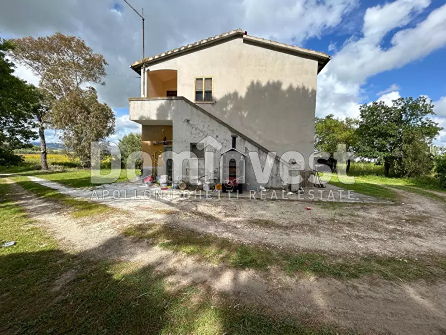 Immagine 15 di Rustico / casale in vendita  in PESCIA FIORENTINA a Capalbio