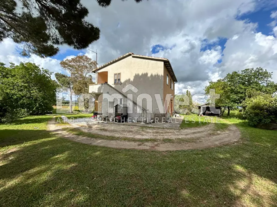 Immagine 16 di Rustico / casale in vendita  in PESCIA FIORENTINA a Capalbio