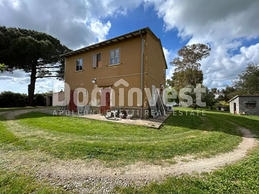 Immagine 17 di Rustico / casale in vendita  in PESCIA FIORENTINA a Capalbio