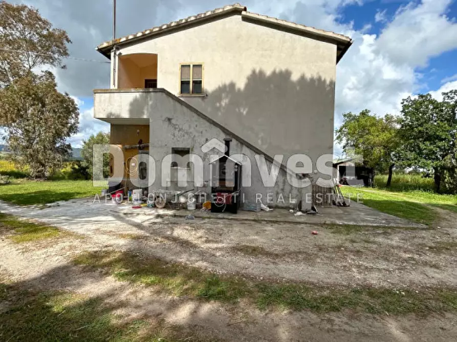 Immagine 19 di Rustico / casale in vendita  in PESCIA FIORENTINA a Capalbio