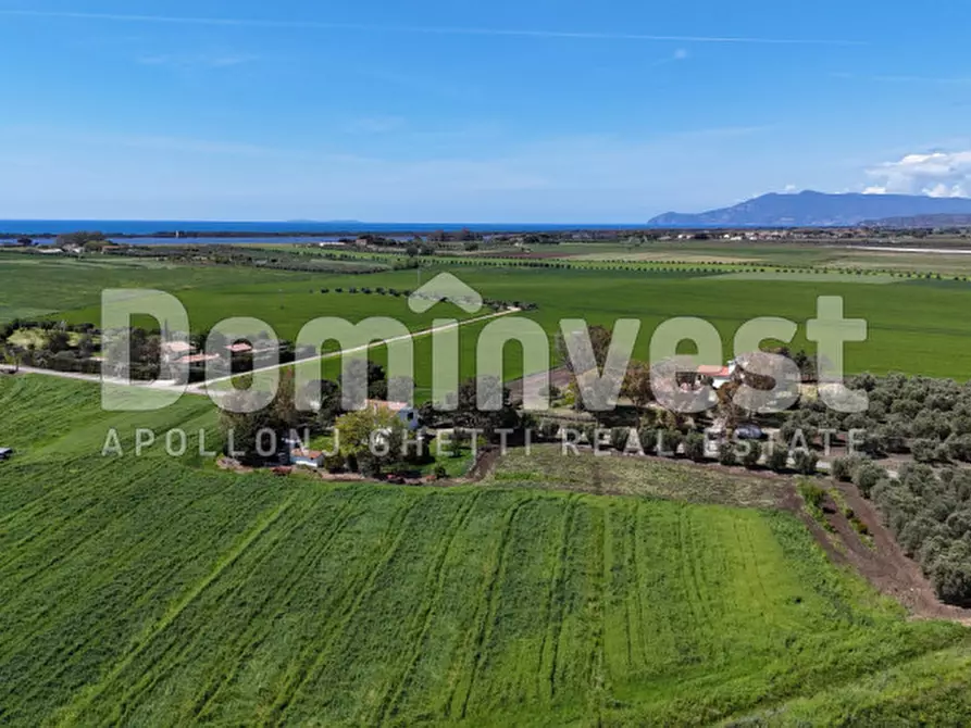 Immagine 2 di Rustico / casale in vendita  in Selva nera a Capalbio